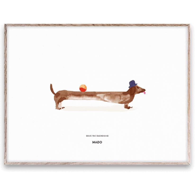 Paper Collective Doug The Dachshund Poster, 30x40 Cm